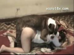A mature college student gets hammered by a K9 and makes her zoophilia sex tape debut.